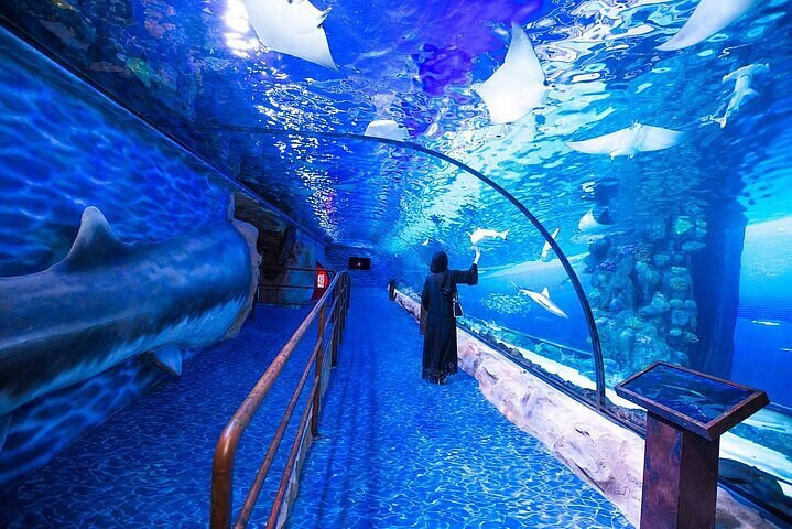 Dubai Mall Aquarium Tickets: Dive into an Underwater Wonderland and Discover the Secrets of the Deep