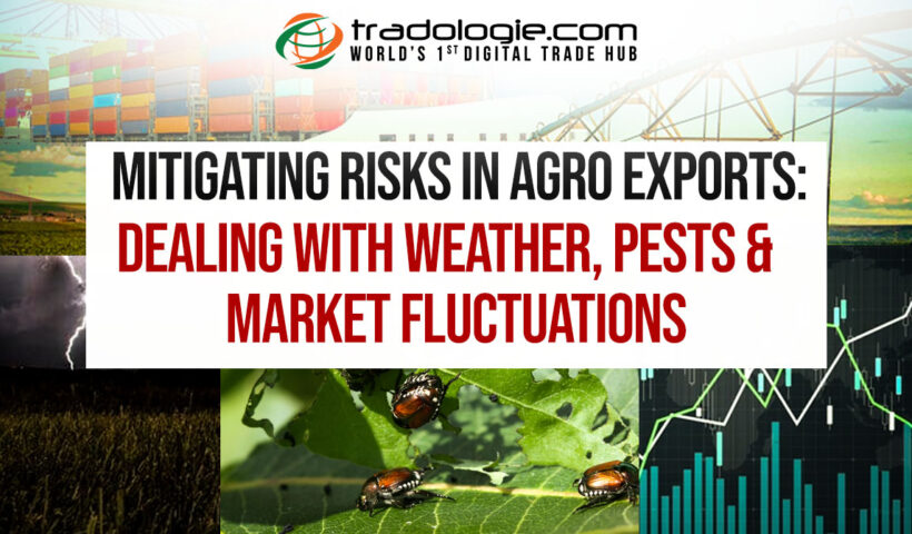 29-7-article-post-copy-1