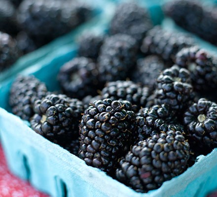 Can you tell me About the Advantages of Blackberries?