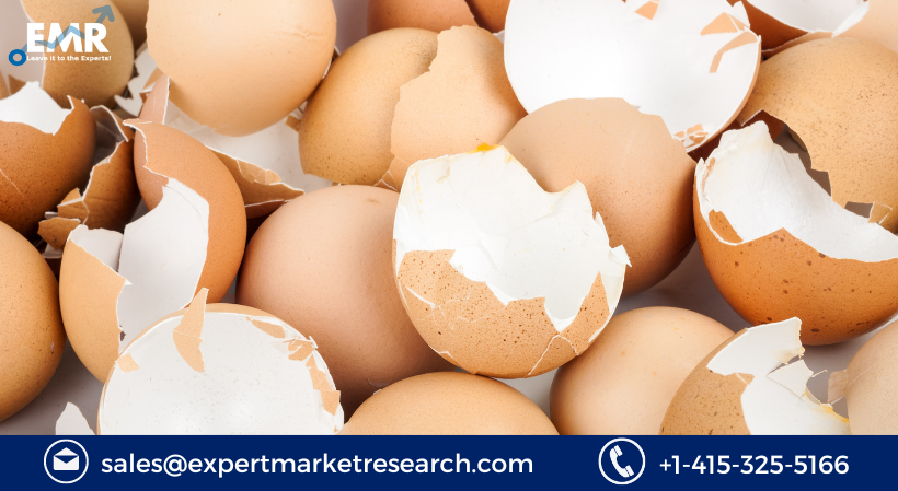 Eggshell Membrane Derivatives Market Size