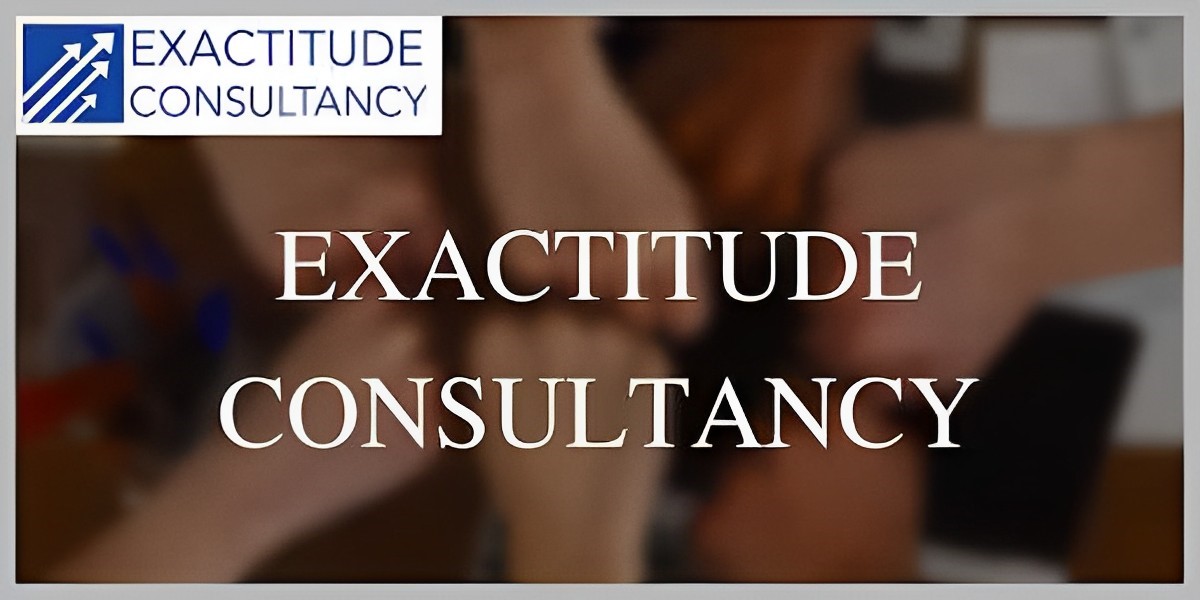 Exactitude Consultancy Report 2023