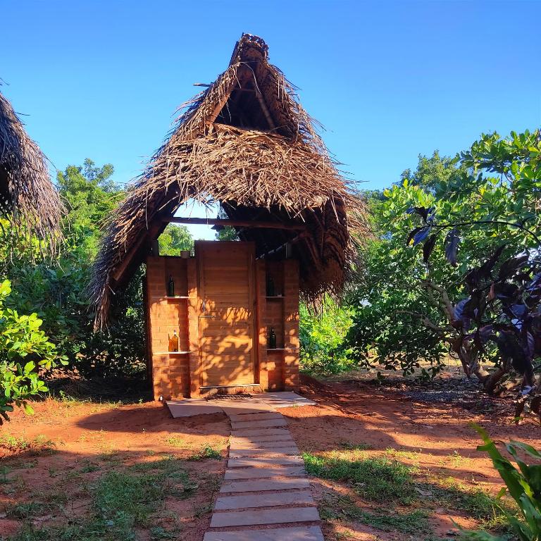 Chickee Huts Vs Traditional Outdoor Structures Which Is Right For You ...