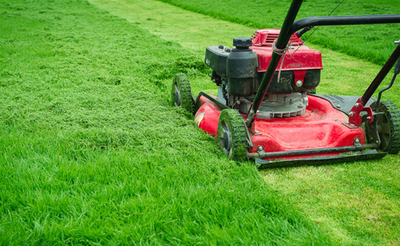 Lawn Services Experts In Derby KS