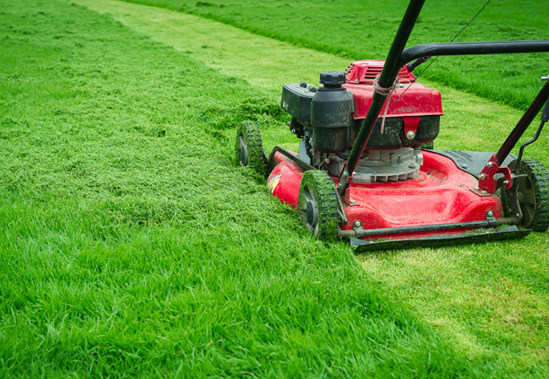 Lawn Services Experts In Derby KS