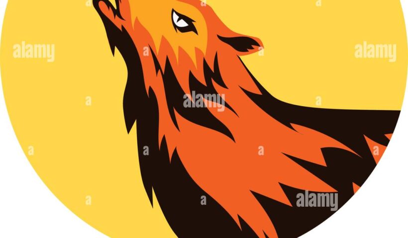 wolf-logo-isolated-on-white-background-vector-illustration-2EHEDJP
