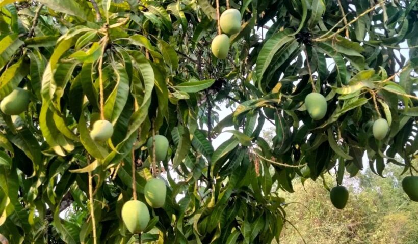 337513084_3459694207641735_6448619965671352706_n