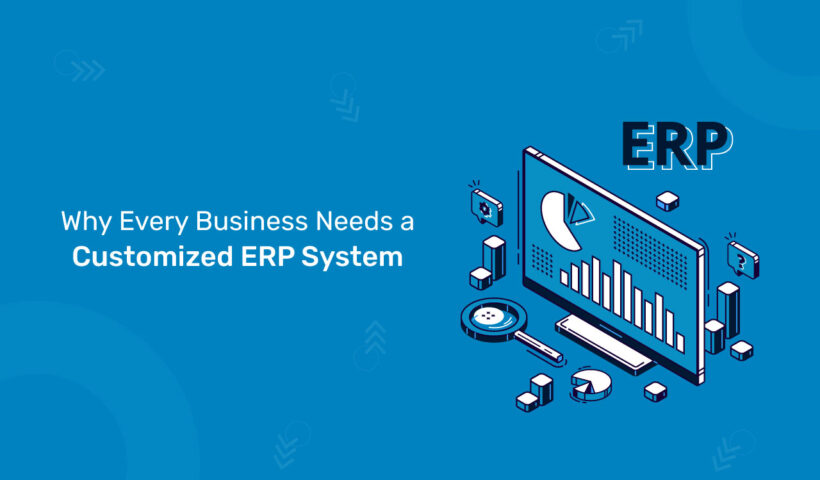 Why Every Business Needs a Customized ERP System