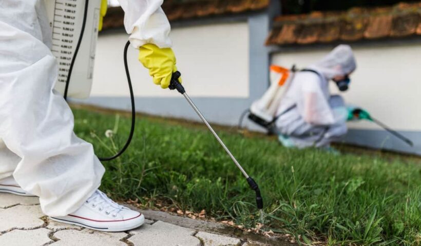 exterminator