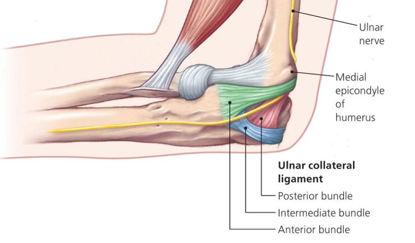 knee pain location chart