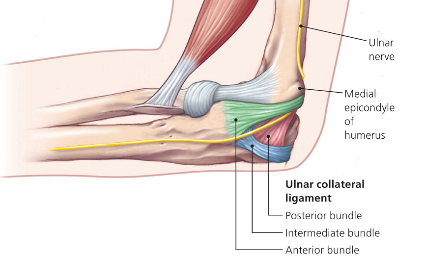 knee pain location chart