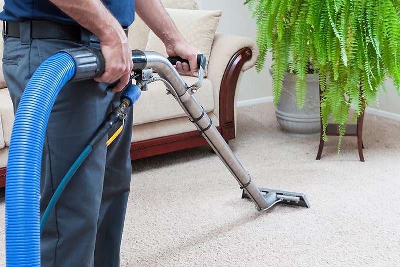 Discover the Magic of Carpet Cleaning Masters