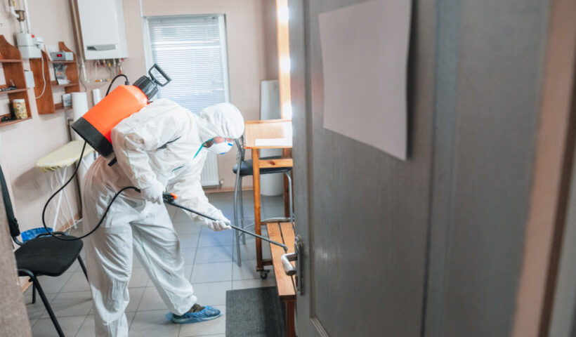 Home Pest Control Services
