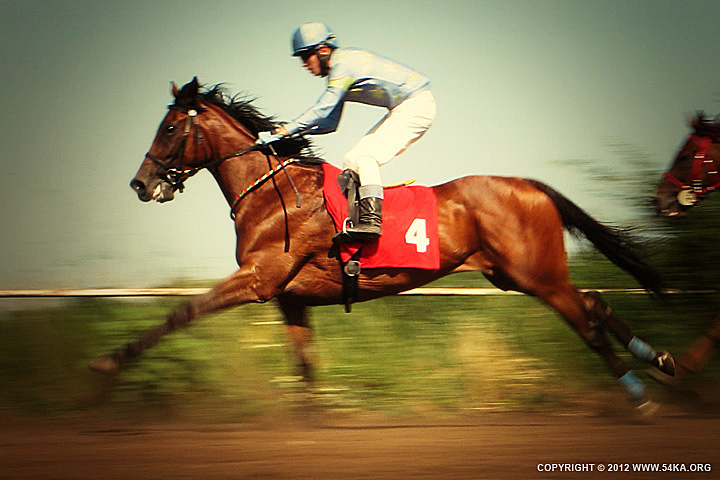 racing_horse_iii_01_by_54ka