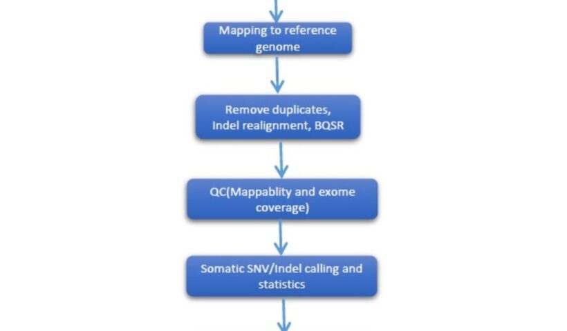 Best Real Estate Agents Kawartha Lakes (15)