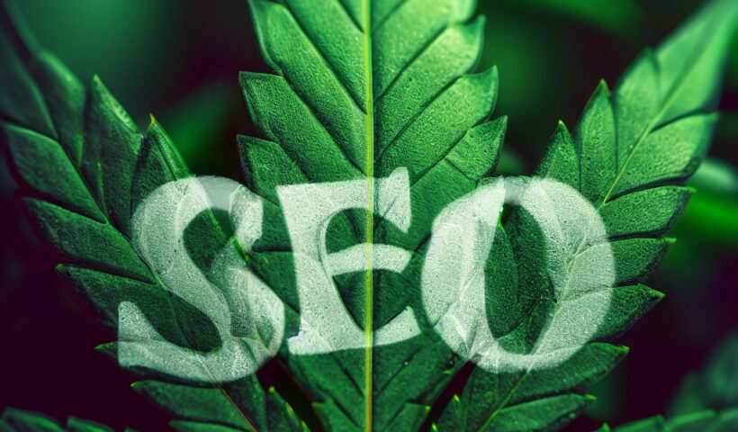 cannabis seo agency