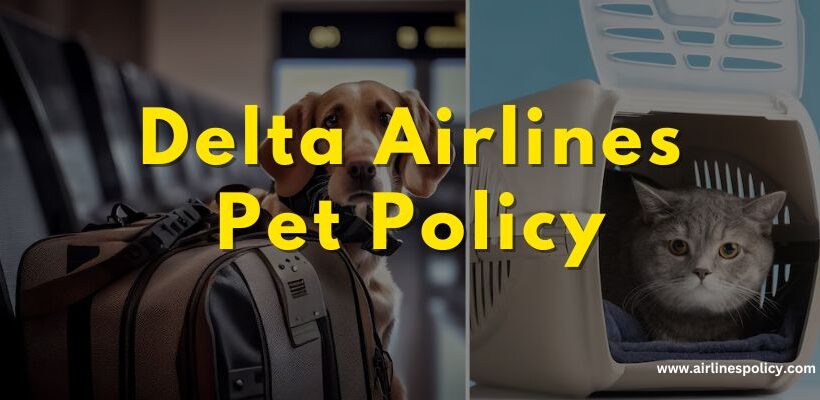 Delta Airlines Pet Policy
