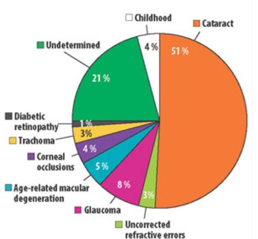 Eye_health_issues_with_weightage
