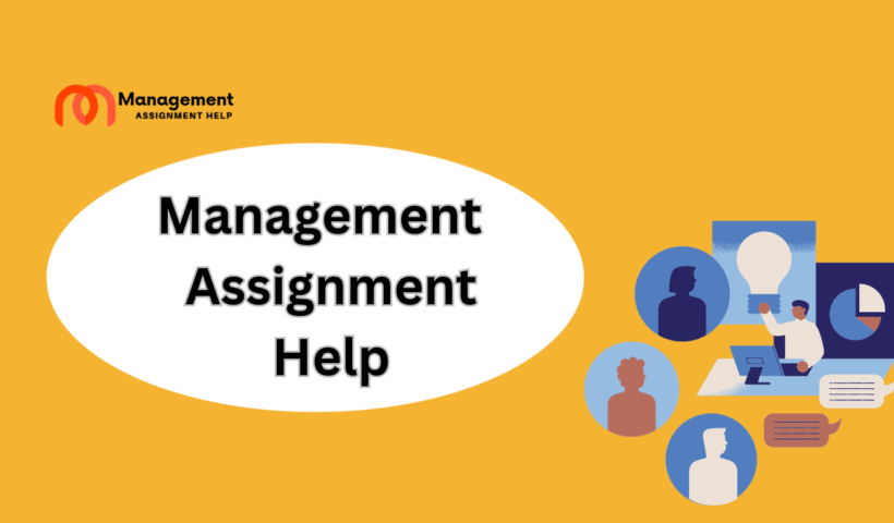 Management  Assignment Help (3)
