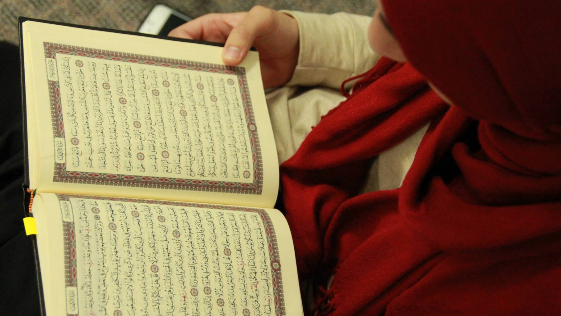 Quran lessons online