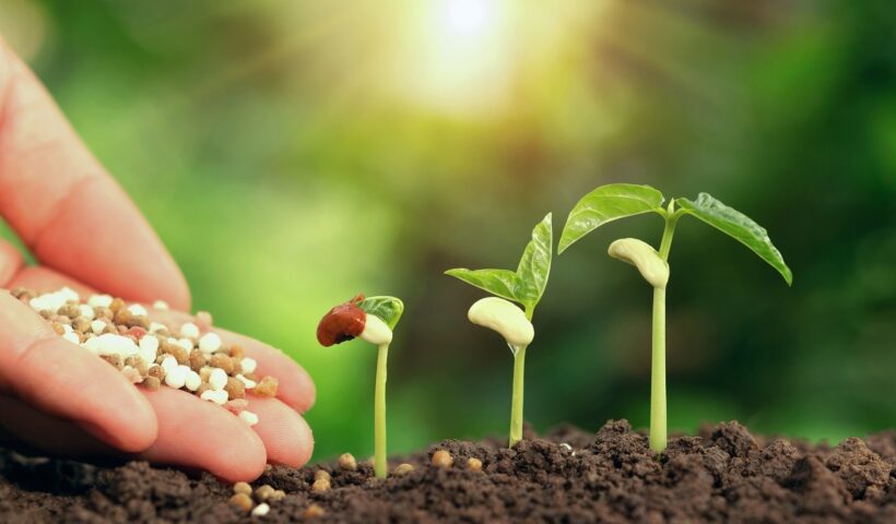 Organic Fertilizer Manufacturing Plant