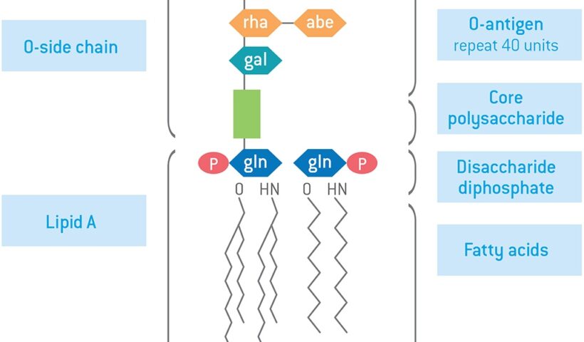 Rapid Endotoxin Testing