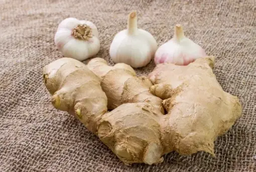 Is Ginger Wholesome For Men’s Health And Fitness?