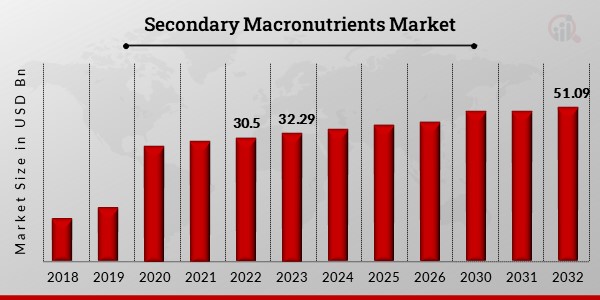 Secondary_Macronutrients_Market_