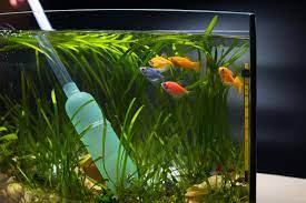 Water Conditioner Work for Goldfish