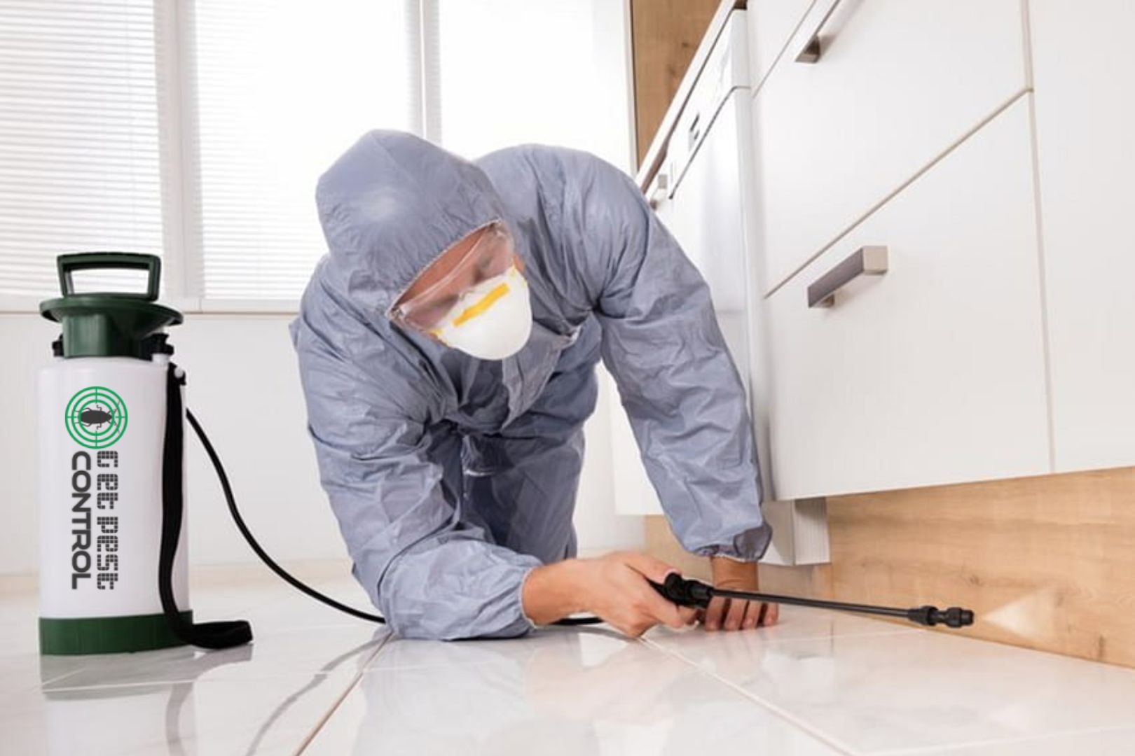 Why Pest Control is Essential for Homeowners