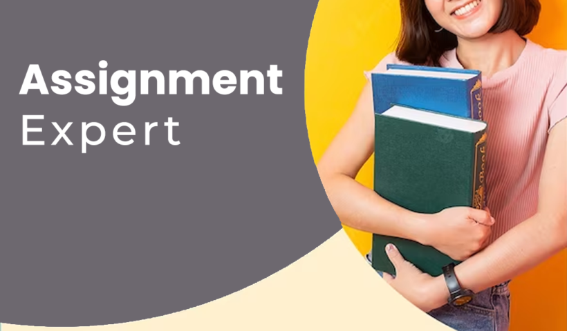 assignment expert