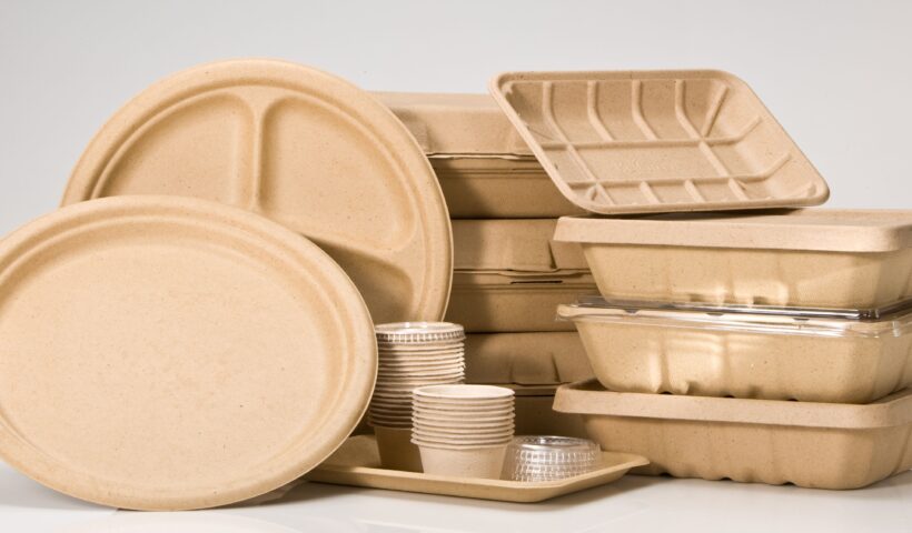 GCC Biodegradable Food Service Disposables Market