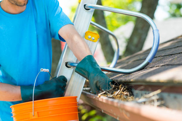 gutter cleaning services