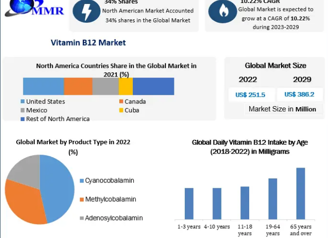 Vitamin B12 Market