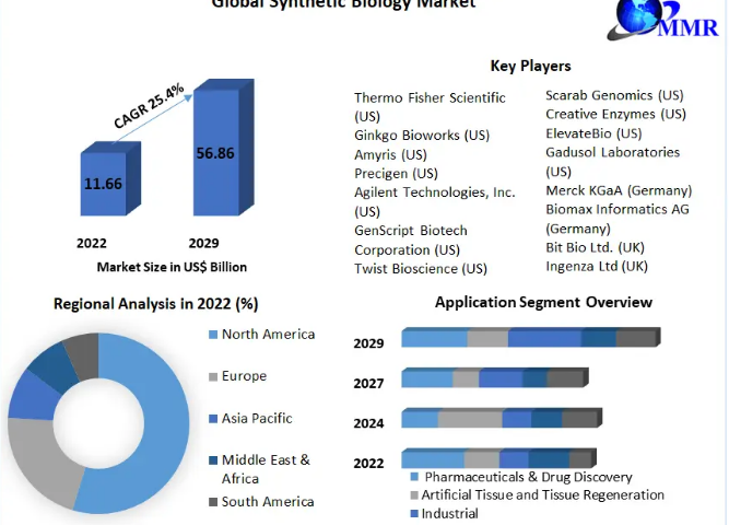 Synthetic Biology Market