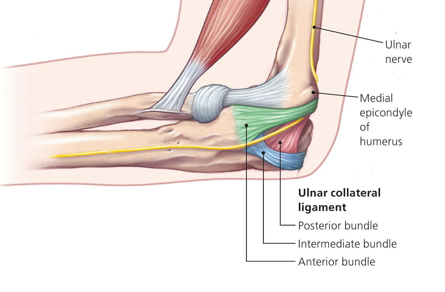 outer knee pain location chart
