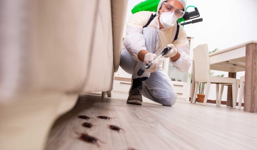 residential pest control in Lansing1
