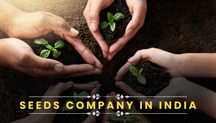 seeds company in India