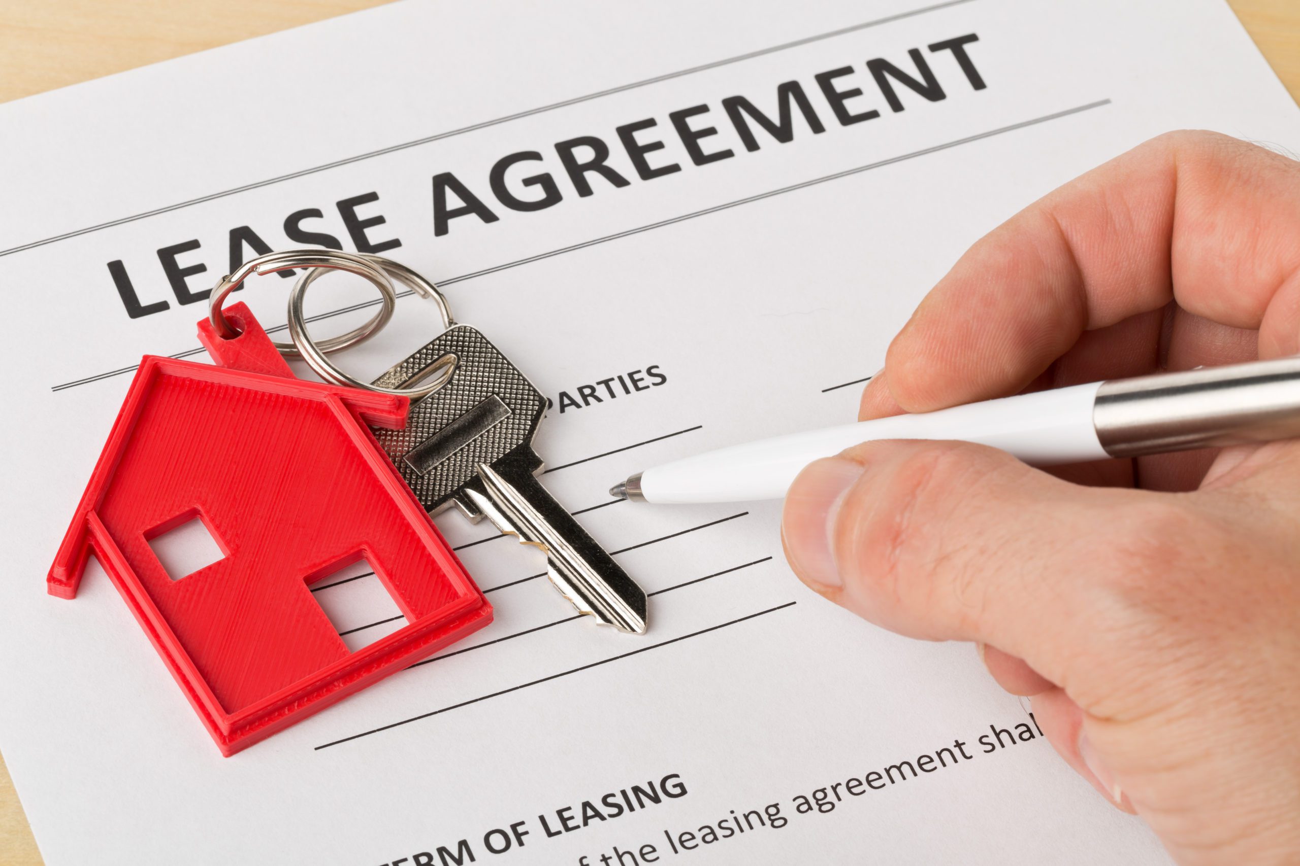 solicitor in lease agreement drafting