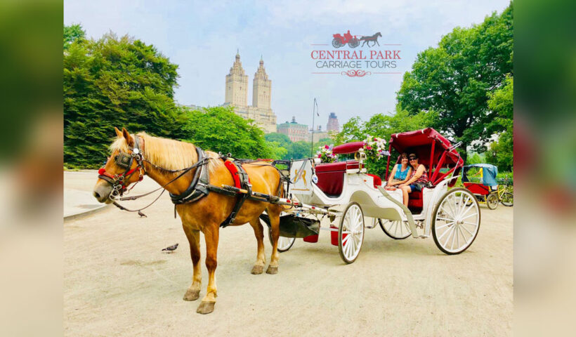 Central Park horse carriage