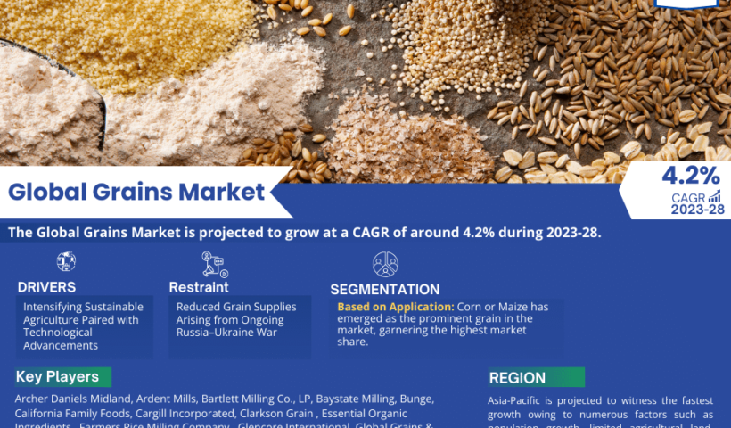 Global_Grains_Market_Infographic