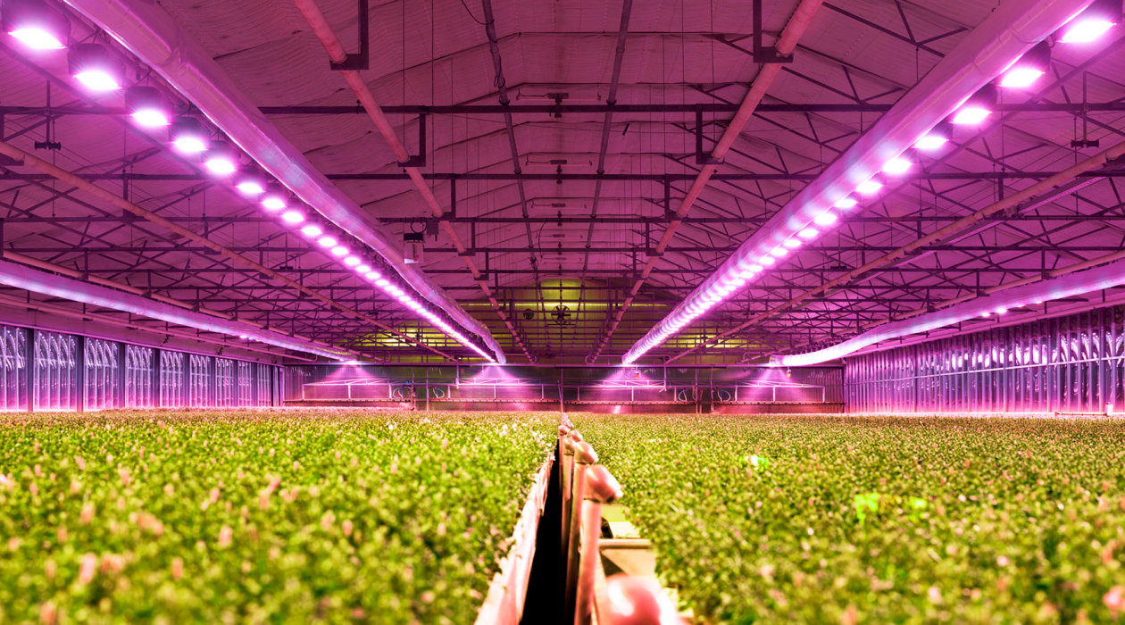 Horticulture Lighting Market