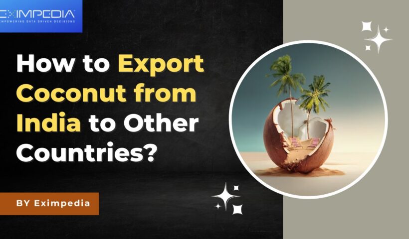 How to Export Coconut from India to Other Countries