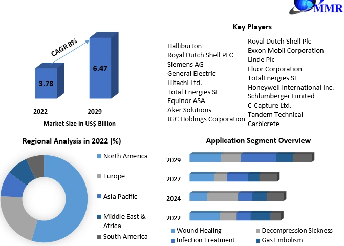 Hyperbaric Oxygen Therapy Market