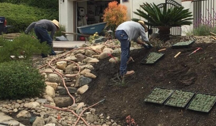 Landscape Installation Services in San Jose CA