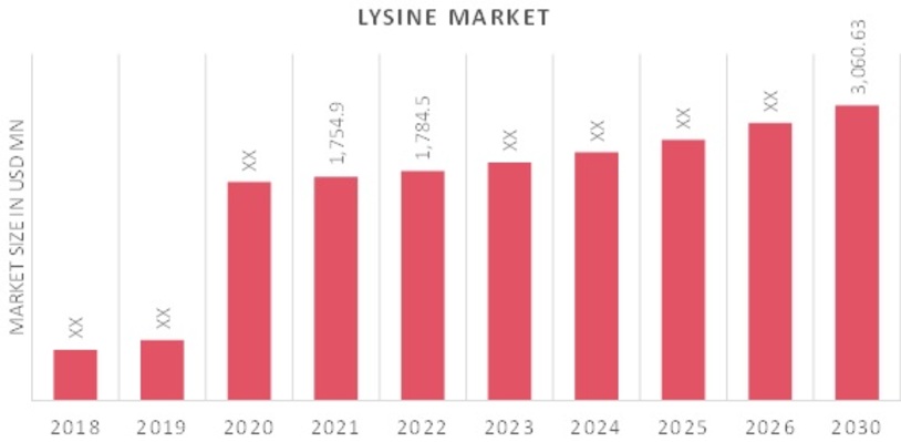 Lysine_Market_Overview