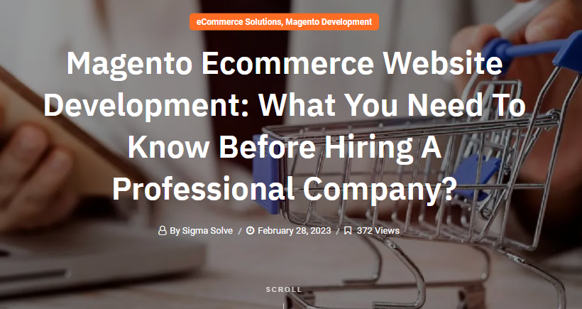 Magento Ecommerce Website Development