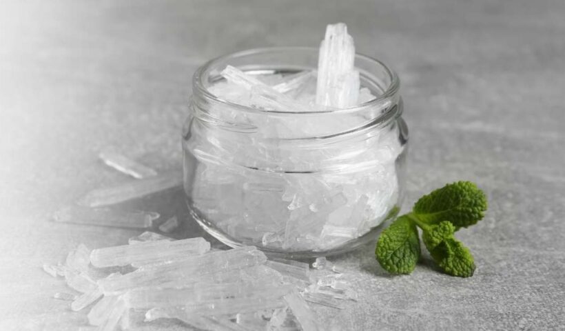 Menthol Manufacturing Plant Project Report