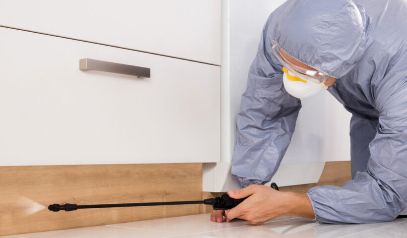 Pest Control Company Ohio