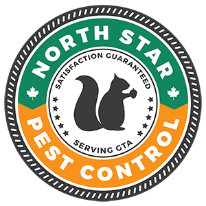 Pest control Barrie