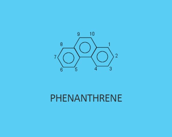 Phenanthrene Manufacturing Plant